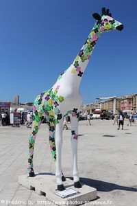 giraflor