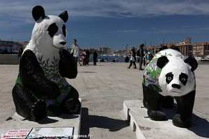 panda sur le Vieux Port